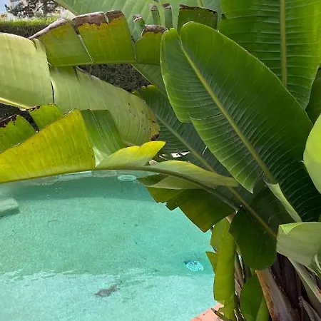 Casa de Férias Ocean, Surf, Golf Private With Pool Near Lagoon Casal do Narcizo